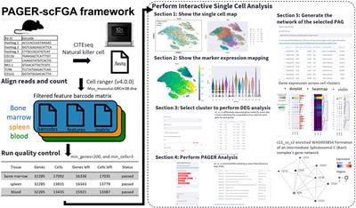 PAGER-scFGA: unveiling cell functions and molecular mechanisms in cell trajectories through single-cell functional genomics analysis